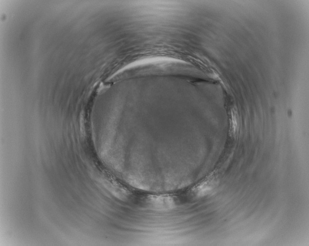 X0000070400520200607072247