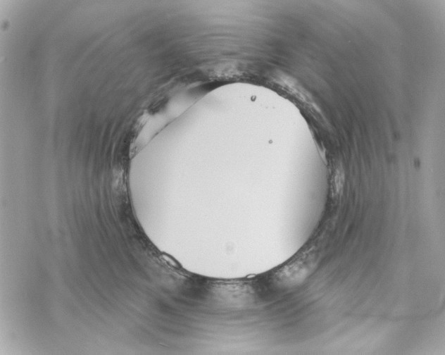 X0000070400521200607072247