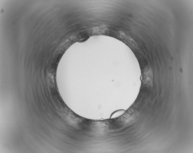 X0000070400522200607072247