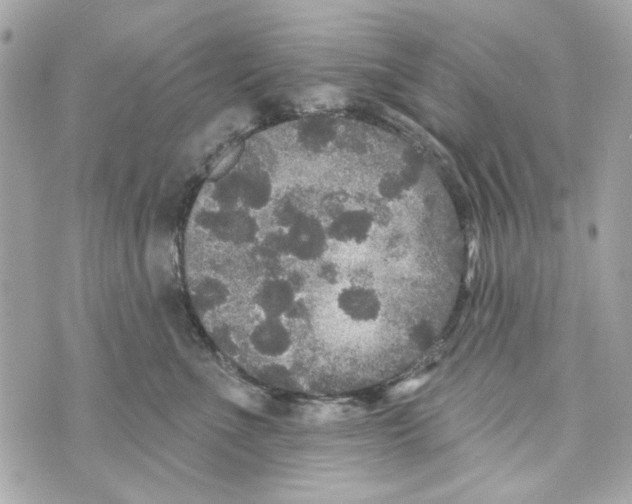 X0000070400523200607072247