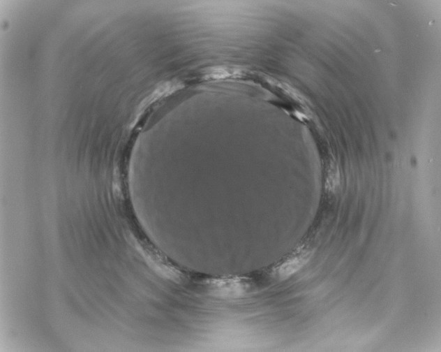 X0000070400524200607072247