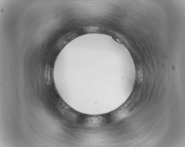 X0000070400525200607072247