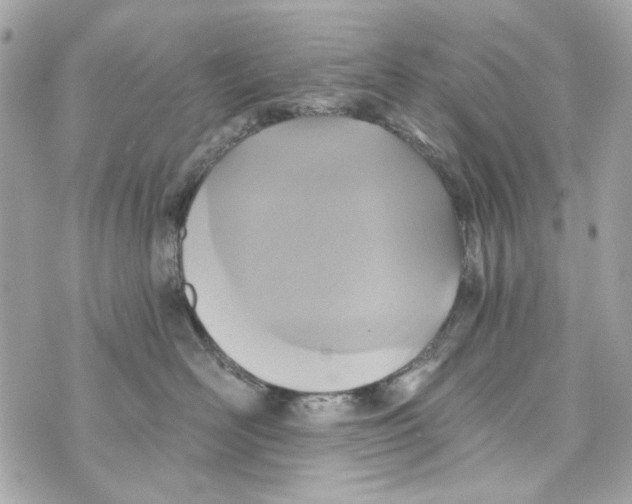 X0000070400526200607072247