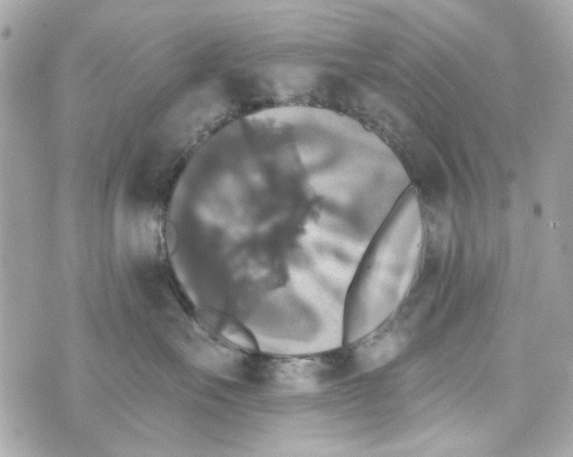 X0000070400527200607072247