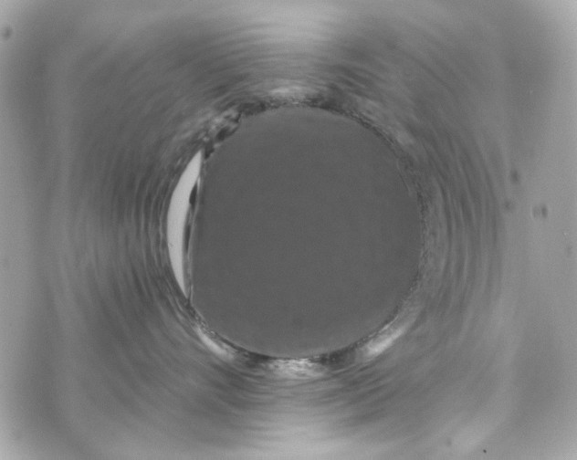 X0000070400528200607072247