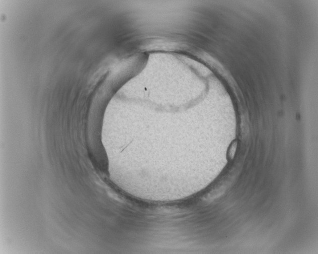 X0000070400529200607072246