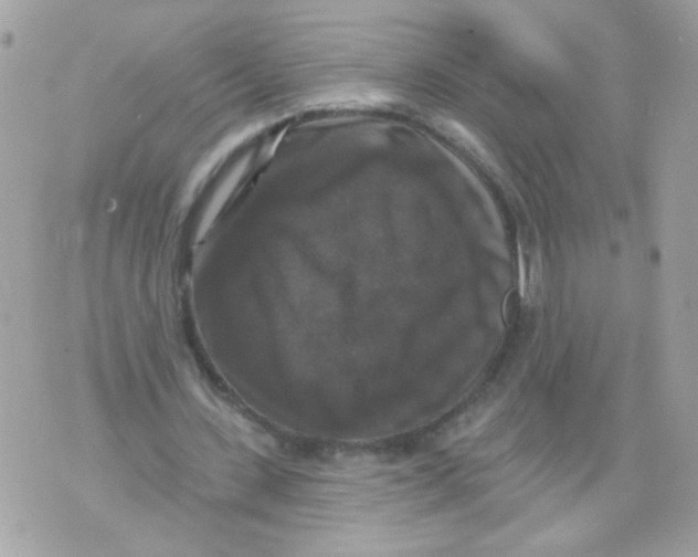 X0000070400531200607072246