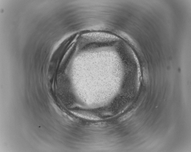 X0000070400532200607072246