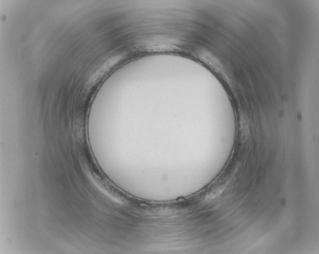 X0000070400533200607072246