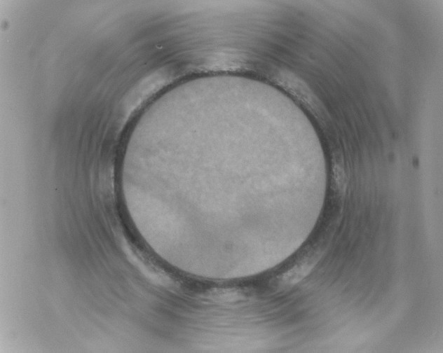 X0000070400534200607072246