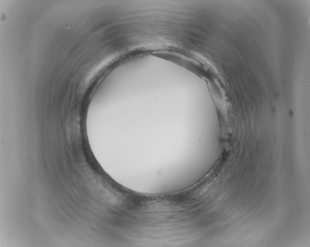 X0000070400535200607072246