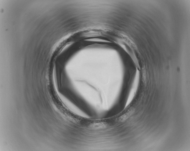 X0000070400536200607072246