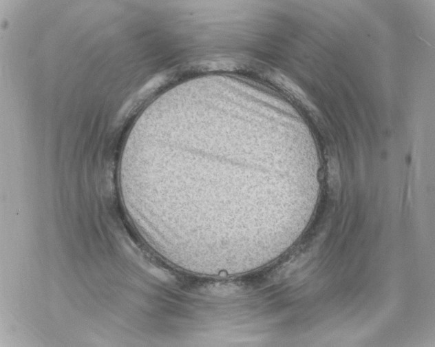 X0000070400537200607072246