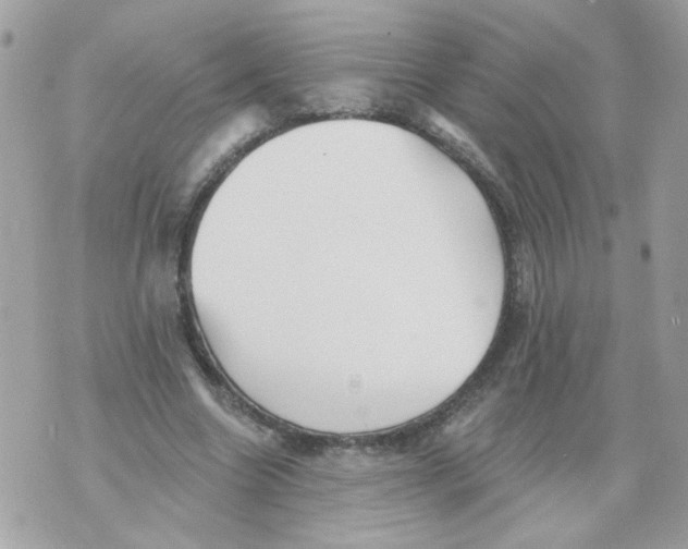 X0000070400538200607072246