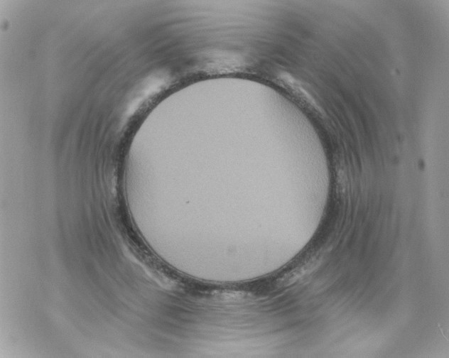 X0000070400539200607072246