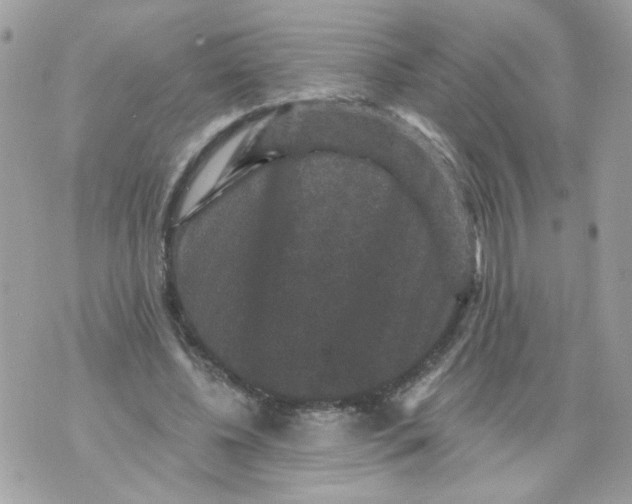 X0000070400540200607072246