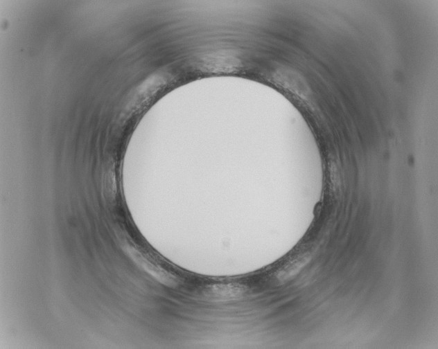 X0000070400541200607072246