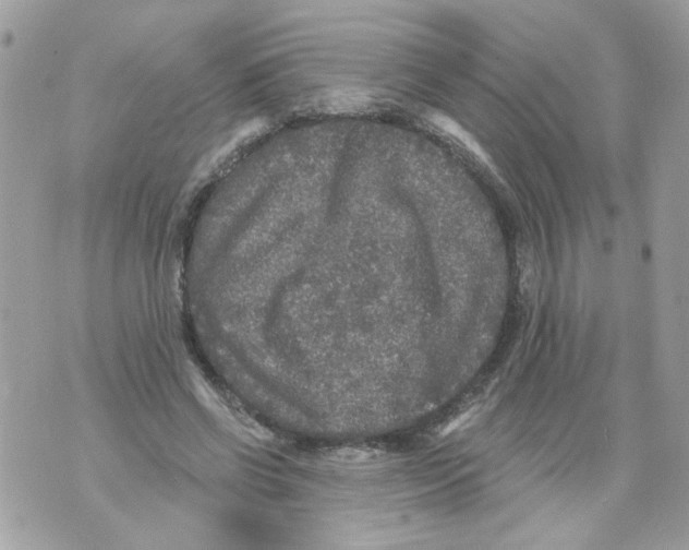 X0000070400542200607072246