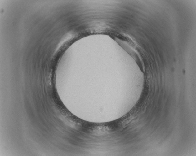 X0000070400543200607072247