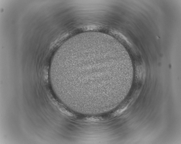 X0000070400545200607072247