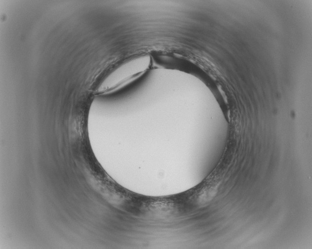 X0000070400546200607072247