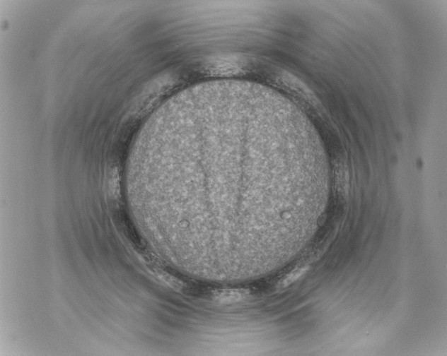 X0000070400549200607072247