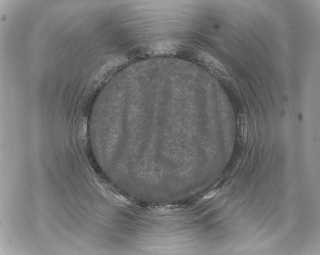 X0000070400550200607072247