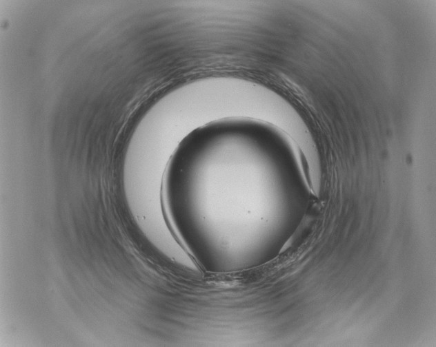 X0000070400552200607072247