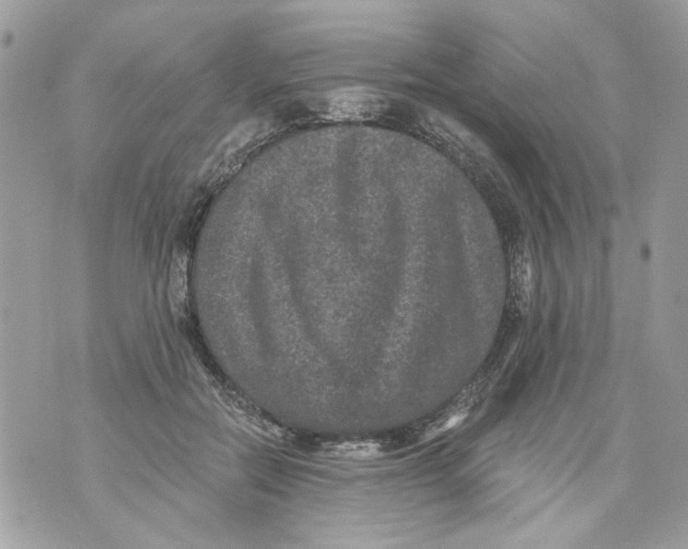 X0000070400554200607072247