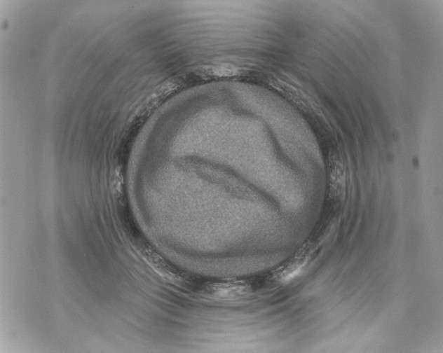 X0000070400555200607072247