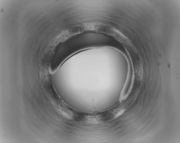 X0000070400556200607072247