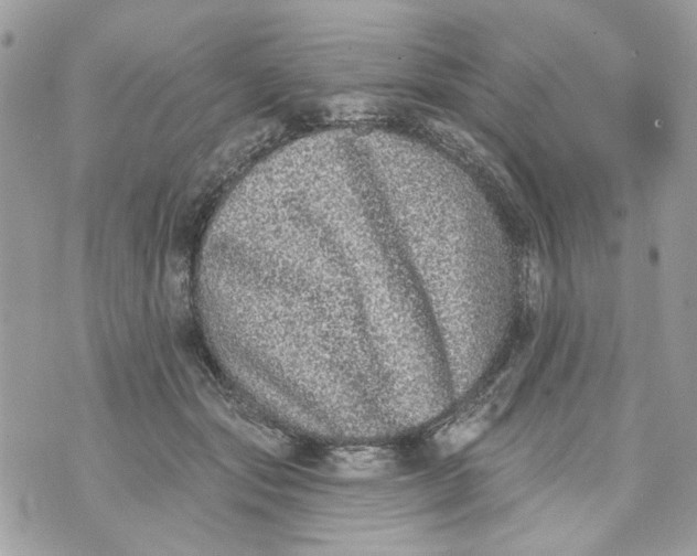 X0000070400557200607072247