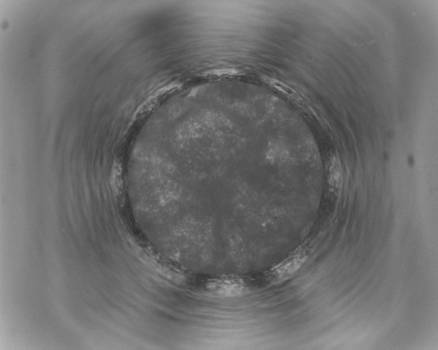 X0000070400559200607072247