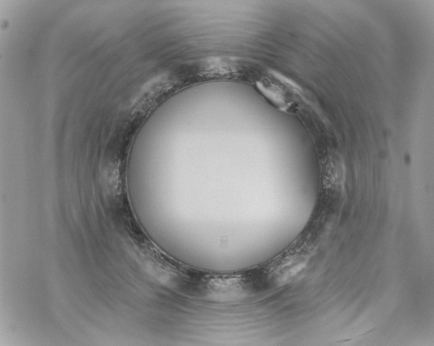 X0000070400560200607072247