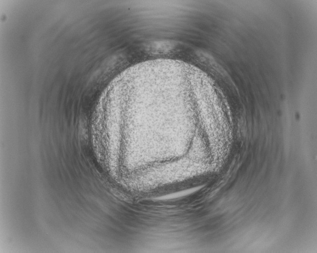 X0000070400561200607072247