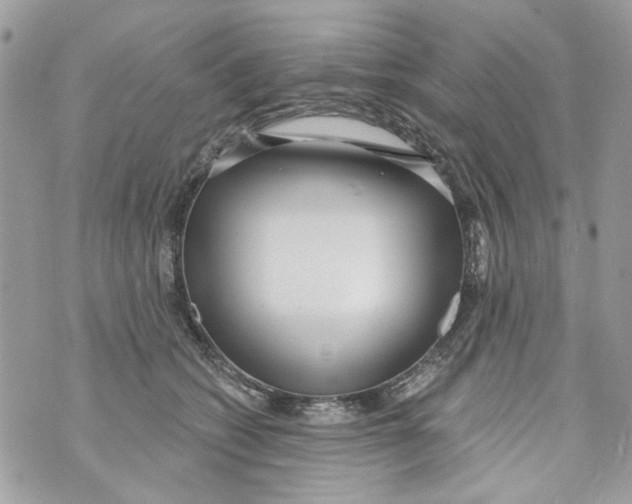 X0000070400562200607072247