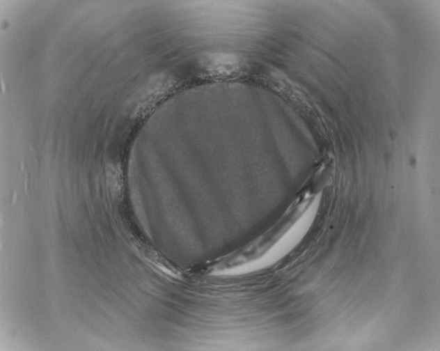 X0000070400563200607072247