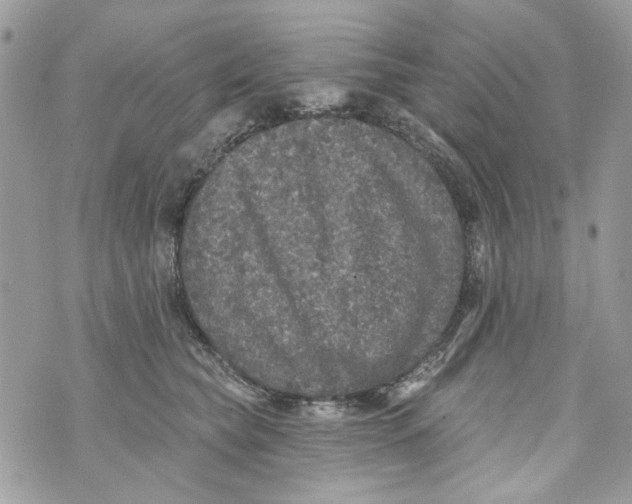 X0000070400565200607072247