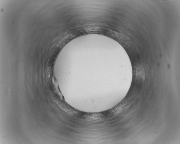 X0000070400567200607072247