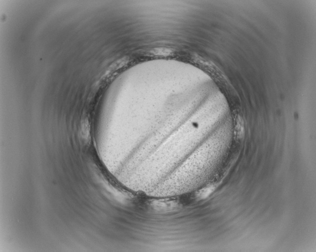 X0000070400568200607072247