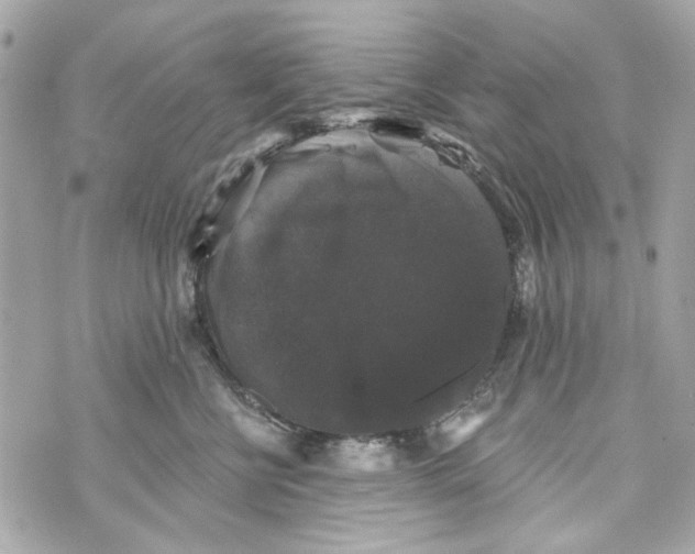 X0000070400570200607072247