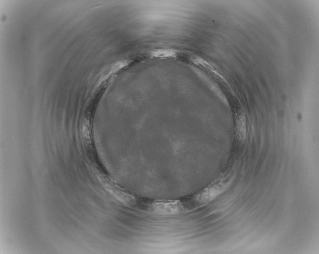 X0000070400571200607072247