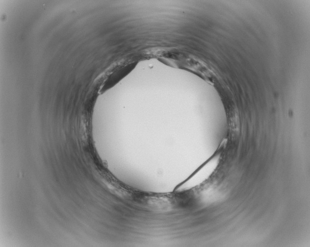 X0000070400572200607072247