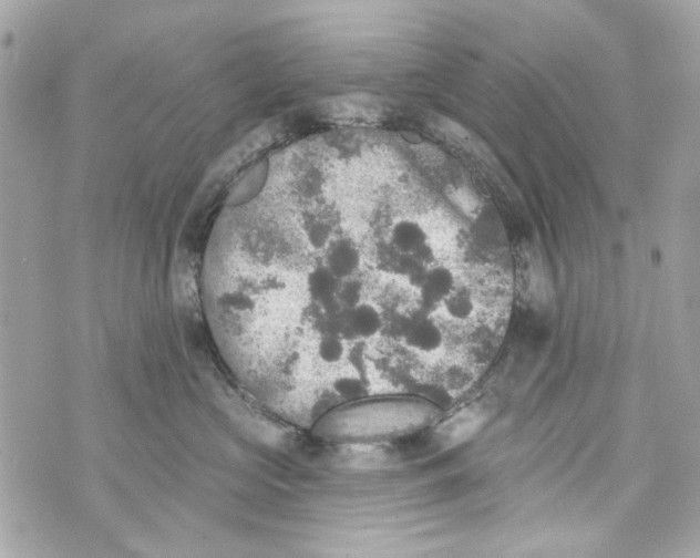 X0000070400573200607072247