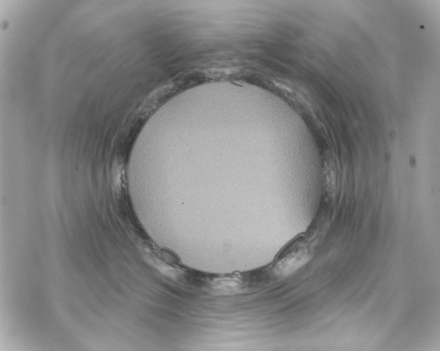 X0000070400574200607072247