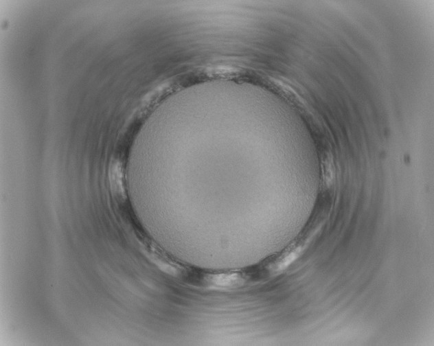 X0000070400575200607072247