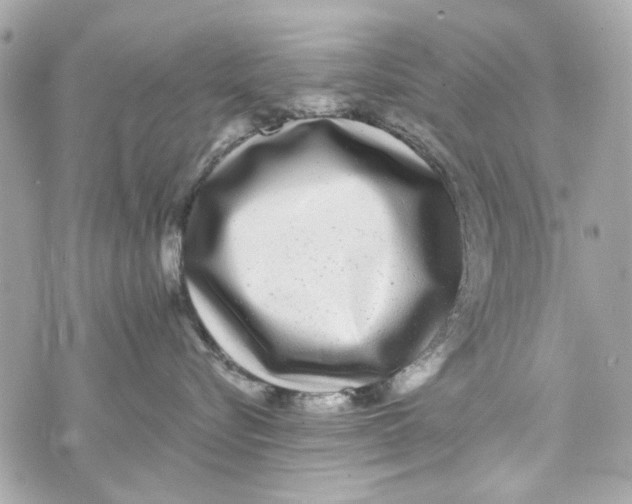 X0000070400576200607072247