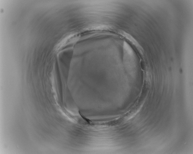 X0000070400577200607072246