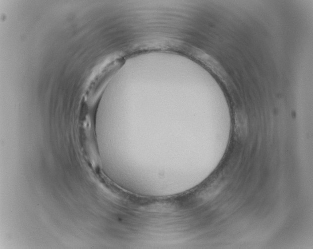 X0000070400578200607072246