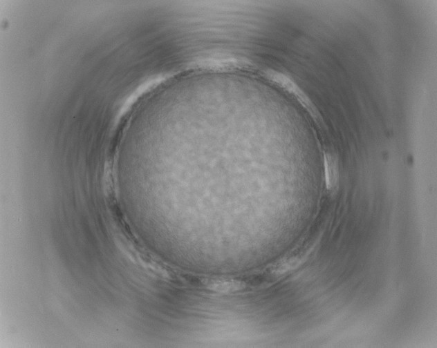 X0000070400579200607072246